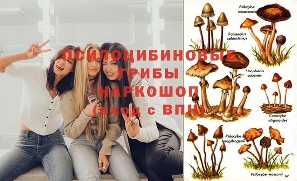 mix Богданович
