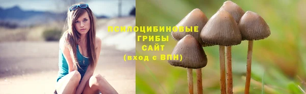 mix Богданович