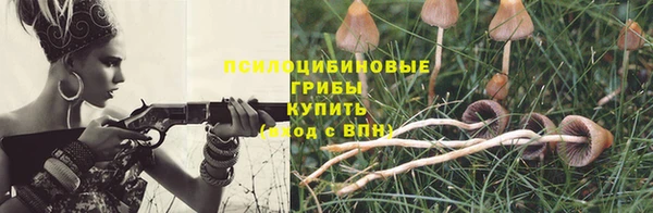 прущие крисы Богородицк