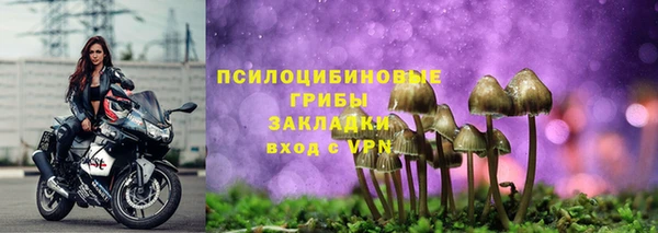 прущие крисы Богородицк