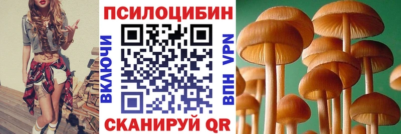 Псилоцибиновые грибы GOLDEN TEACHER  Купить  Михайлов 